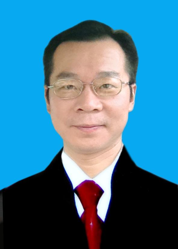 陈磊律师